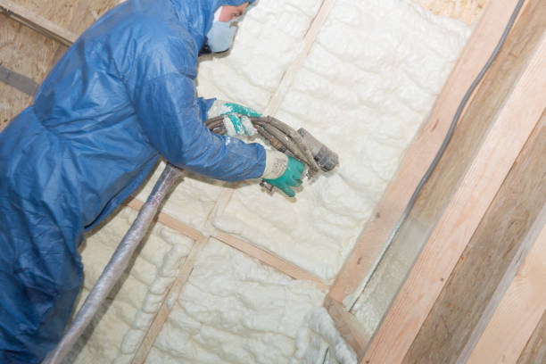 Eco-Friendly or Green Insulation Solutions